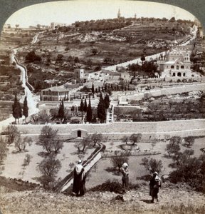Il Giardino del Getsemani e il Monte degli Ulivi, Palestina da Underwood and Underwood