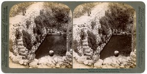 La piscina di Siloe, fuori Gerusalemme, Palestina da Underwood and Underwood