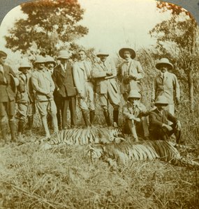Caccia alla tigre, Cooch Behar, Bengala Occidentale, India, c1900
