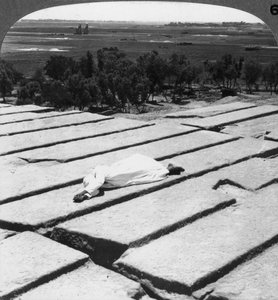 Veduta di Tebe e dei colossi di Memnone, vista dal Ramesseum, Egitto, 1905