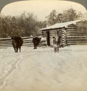 Inverno in un ranch, Montana, USA