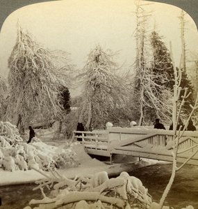 Scena invernale, Isola Luna, Cascate del Niagara, New York, USA