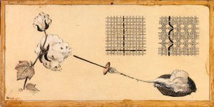Tessitura del cotone