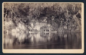 [Sotto le scogliere del fiume Withlacoochee, Florida]. da Unidentified