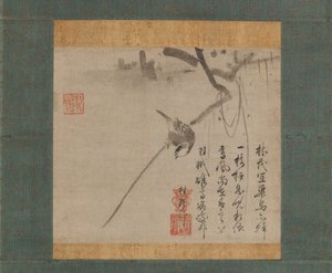 Uccello su un ramo
