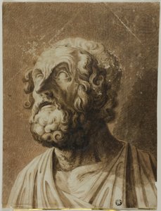 Busto di Omero cieco da Unknown