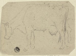 Mucca che pascola (recto); Testa di un animale (verso) da Unknown