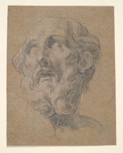 Testa di un uomo