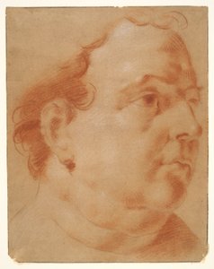 Testa di un Uomo