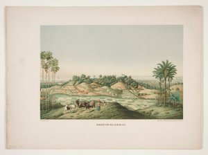Costa Nord di Samarang