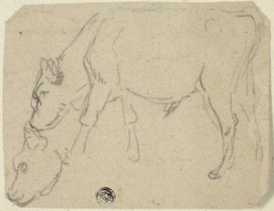 Schizzi di toro al pascolo, testa di mucca (recto); mucca seduta di profilo (verso) da Unknown