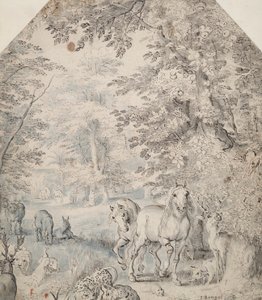 Il giardino dell
