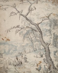Il Giardino dell