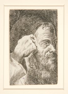 Senza titolo (Testa di un uomo barbuto) da Unknown