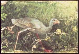 Affresco di un pollo sultano in un giardino, Pompei, I secolo d.C. da Unknown