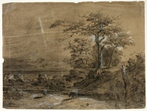 Paesaggio boscoso con mucche in primo piano da Unknown