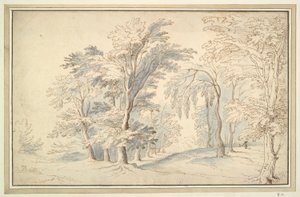 Paesaggio boscoso da Unknown