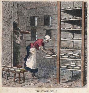 Una fabbrica di formaggio. Illustrazione del XIX secolo. Collezione Bianchetti