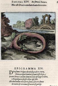 Un drago che batte la coda (o Ouroburo). Tavola tratta dal trattato di alchimia "Atalanta fugiens hoc est Emblemata nova de secretis naturae chymica" di Michel Maier (1568-1622) da Unknown artist