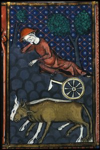 Un contadino che riposa, accanto a lui buoi e un aratro in miniatura del XIV secolo da Unknown artist