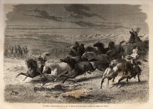 Un rodeo a Lauramarca (Basso Perù), la cattura di cavalli selvaggi, prima della loro marchiatura con le iniziali del proprietario della regione, considerato uno spettacolo completo, molti spettatori si sono radunati. Incisione per illustrare il viaggio nel
