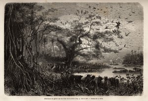 Abbondanza di selvaggina sulle rive dello Zambesi da Unknown artist