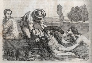 Medicina d