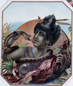Donna nera africana e serpente - Etichetta di scatola di sigari, fine XIX secolo