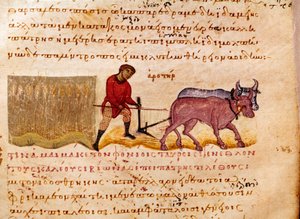 Agricoltura: scena di aratura. Miniatura da 