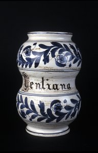 Albarelle: antico vaso farmaceutico del XVI secolo contenente genziana. Museo della Scienza e della Tecnologia, Milano. da Unknown artist