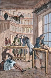 Albrecht von Haller (Albert de Haller) (1708-1777) nel suo laboratorio a Berna in Svizzera - Laboratorio del medico svizzero Albrecht von Haller (1708-1777) a Berna