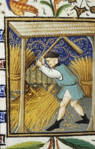 Rappresentazione allegorica di Agosto. Un contadino che batte il grano. Miniatura di un manoscritto del XIV secolo. da Unknown artist