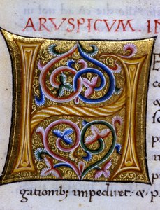 Alfabeto: lettera miniata H da Unknown artist