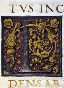 Alfabeto: lettera miniata L da Unknown artist