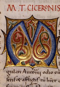 Alfabeto: lettera miniata M da Unknown artist