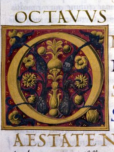 Alfabeto: lettera miniaturizzata O