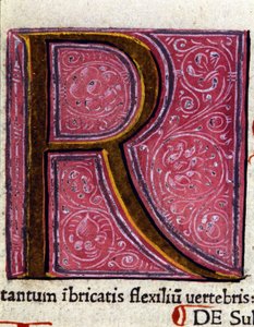 Alfabeto: lettera miniata R da Unknown artist