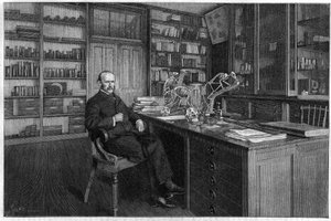 Alphonse Milne Edwards