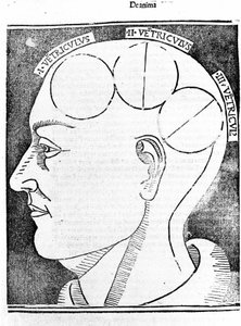 Aristotelis libri IV de coelo et mundo Cum Expositione S. Thomae de Aquino et Cum Additione Petri Alverniae. Questo è il libro di Aristotele con il commento di San Tommaso d