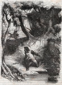 Astolfo al bordo di una fontana - incisione del 1851 da 