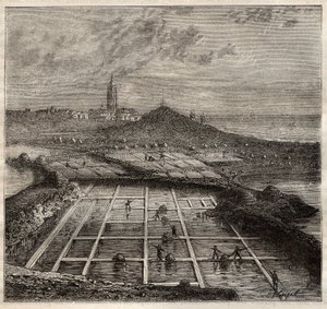 Batz sur Mer, Bretagna, Francia - Produzione di sale. Vista di una salina nella Francia occidentale - incisione in 
