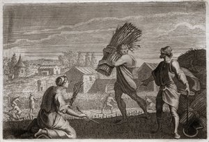 Bibbia di Royaumont, Antico Testamento: Ruth segue la suocera Noemi nella terra di Giuda e miete i campi di grano di Boaz. Illustrazione del 1811 da Unknown artist