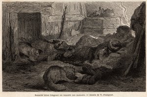 Volpi blu che rosicchiano le scarpe dei marinai addormentati nel rifugio della stazione di osservazione, disegno di V. Foulquier, per illustrare lo Spitzberg. da Unknown artist