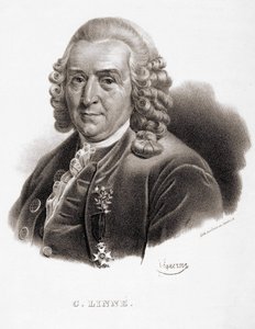 Carl Von Linné naturalista e scrittore svedese (1707 - 1778)