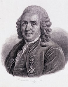 Carl Von Linné naturalista e scrittore svedese (1707 - 1778) - in 