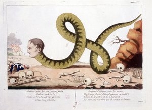 Cartone animato su Napoleone I rappresentato come un serpente. Serpente d