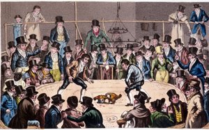 Combattimento di galli da Unknown artist