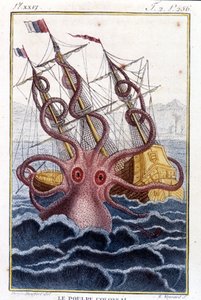 Polpo colossale (polpo, calamaro gigante, kraken) che attacca una nave - incisione del libro di Pierre Denys-Montfort "Histoire naturelle des mollusques", edizione originale del 1802 da Unknown artist