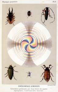Colorazione presentata da due lame di quarzo sovrapposte, colorazione di insetti - in "La fisica popolare" di Emile Desbeaux da Unknown artist