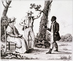 Creolo della Martinica (servo nero e una coppia di bianchi) - in "Francia pittoresca", T.III da Unknown artist